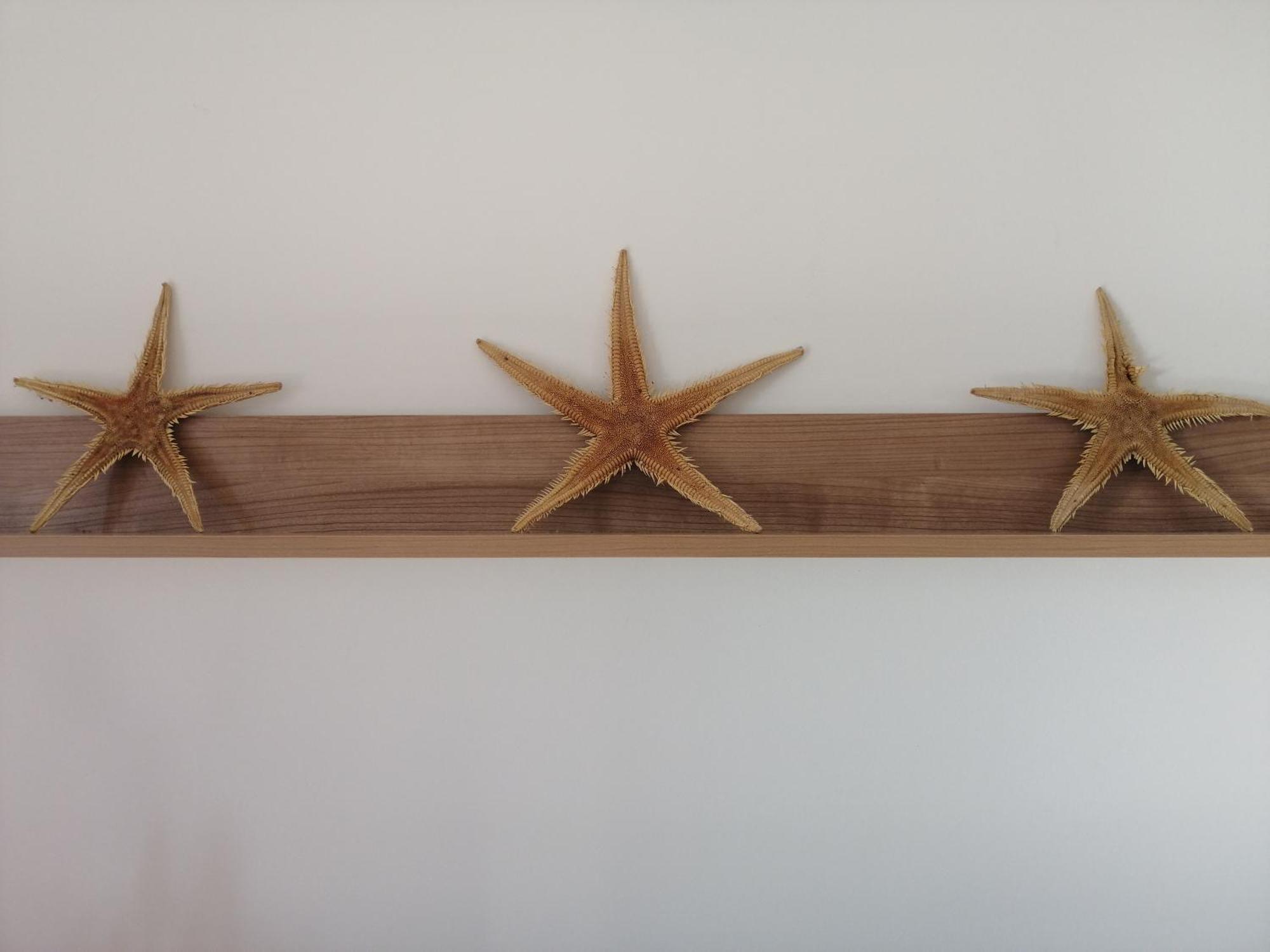 Apartmani Nada Klenovica Buitenkant foto